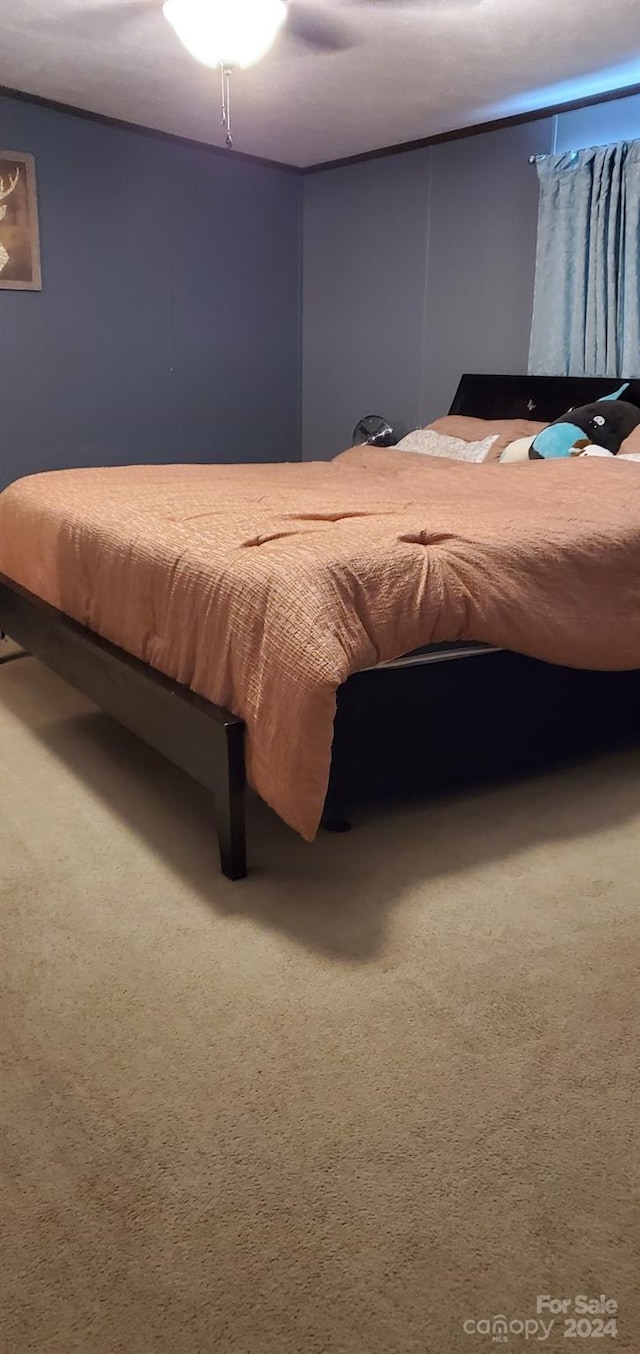 bedroom with carpet flooring