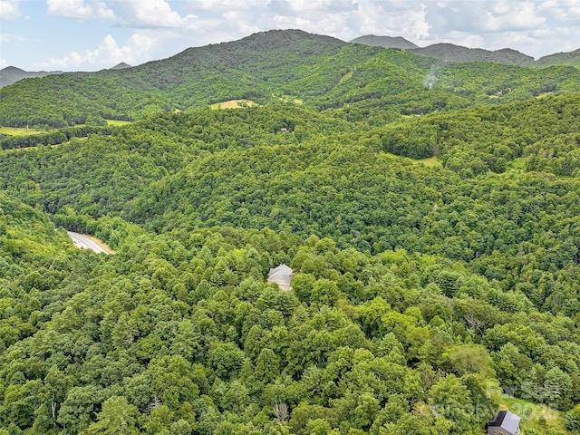 view of mountain feature