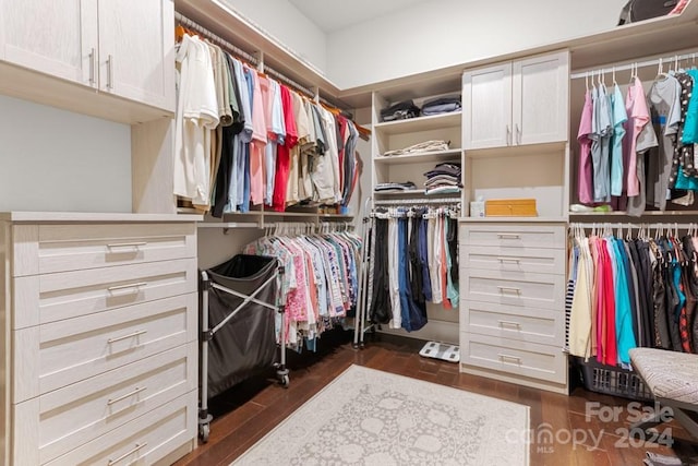 walk in closet with dark wood-type flooring