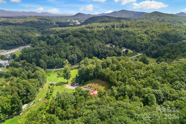 aerial view featuring a mountain view