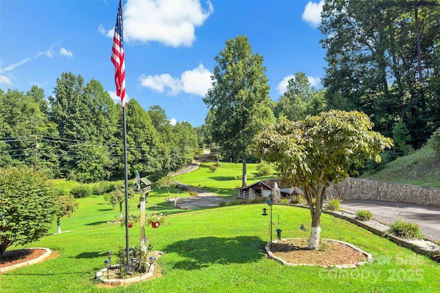 view of community with driveway and a yard