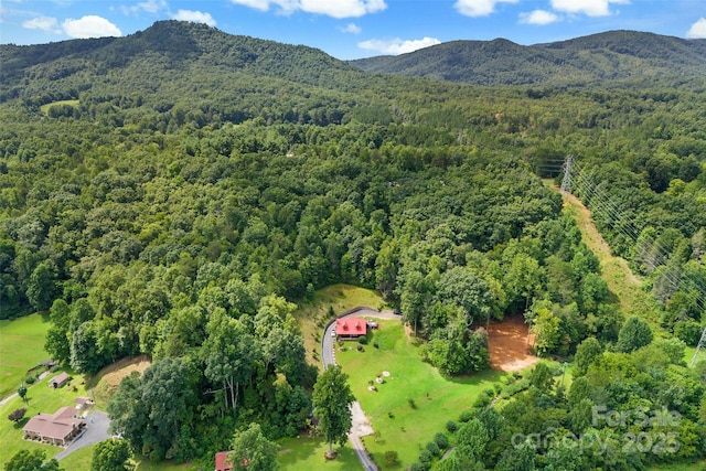 drone / aerial view featuring a mountain view and a view of trees