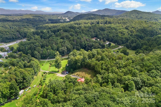 aerial view featuring a mountain view and a view of trees