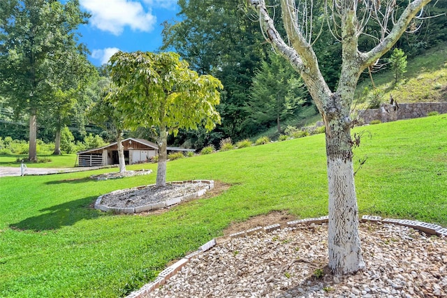 view of yard with an outdoor structure and an outbuilding