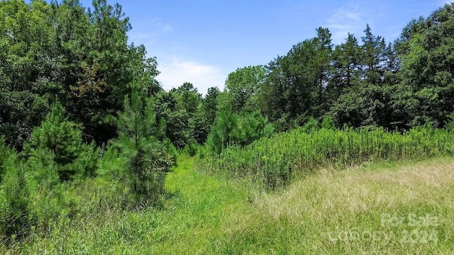 10421 Arlington Church Rd, Mint Hill, NC 28227 - photo 15