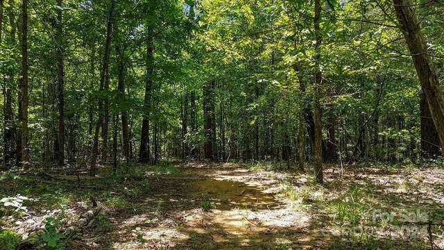 10421 Arlington Church Rd, Mint Hill, NC 28227 - photo 17