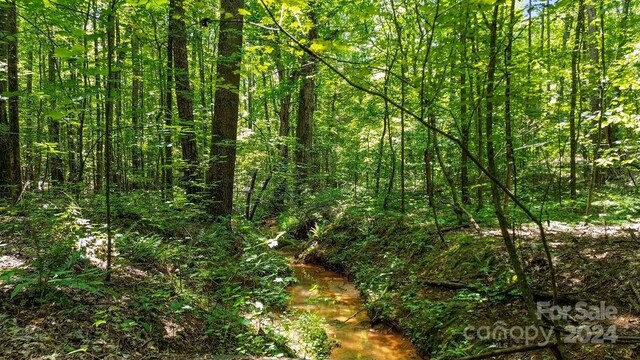10421 Arlington Church Rd, Mint Hill, NC 28227 - photo 19