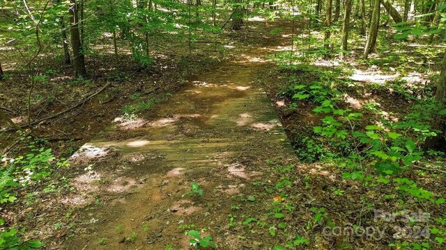 10421 Arlington Church Rd, Mint Hill, NC 28227 - photo 20