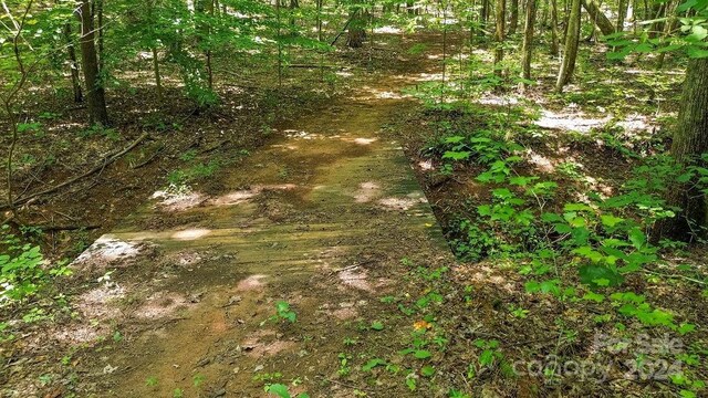 10421 Arlington Church Rd, Mint Hill, NC 28227 - photo 21