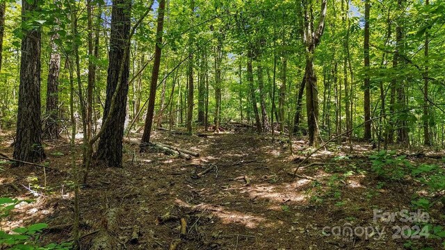 10421 Arlington Church Rd, Mint Hill, NC 28227 - photo 22