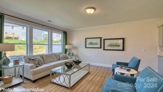 living room featuring ornamental molding and light hardwood / wood-style flooring