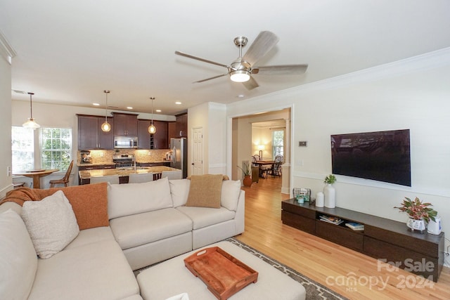 living room with sink, light wood-type flooring, ceiling fan, and ornamental molding