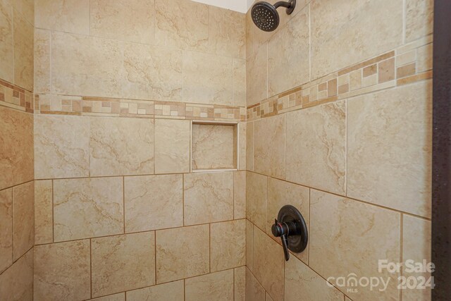 room details featuring tiled shower