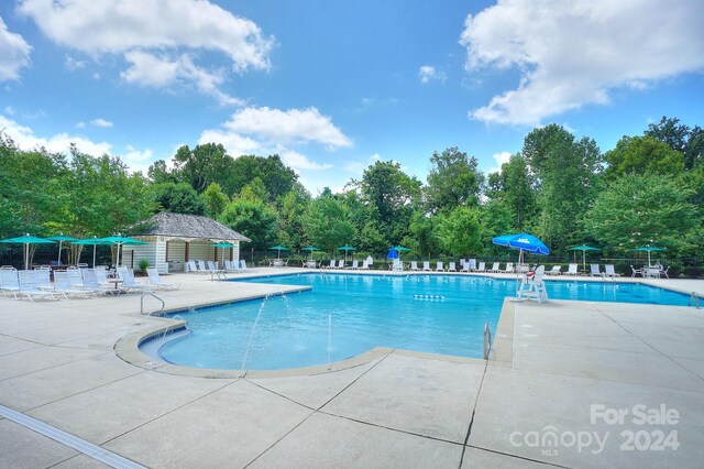 view of pool featuring a patio area