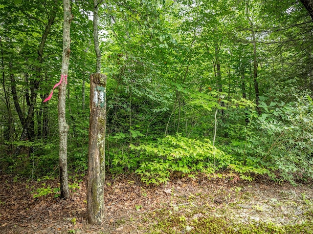 000 Meadow Ridge Dr Lot 14, Lake Toxaway, NC 28747