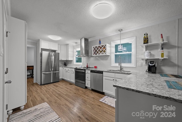 kitchen with sink, appliances with stainless steel finishes, white cabinetry, hanging light fixtures, and exhaust hood