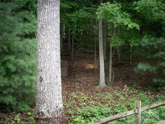 view of local wilderness