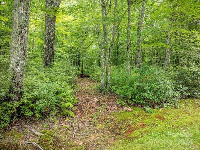 000 Panthertown Rd Unit 38R, Lake Toxaway NC, 28747 land for sale