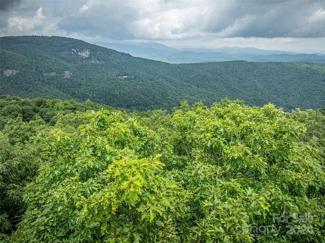 000 Panthertown Rd Unit 38R, Lake Toxaway, NC 28747