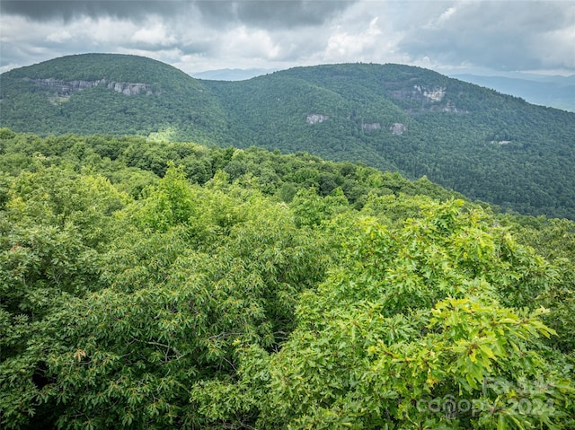 000 Panthertown Rd Unit 38R, Lake Toxaway, NC 28747
