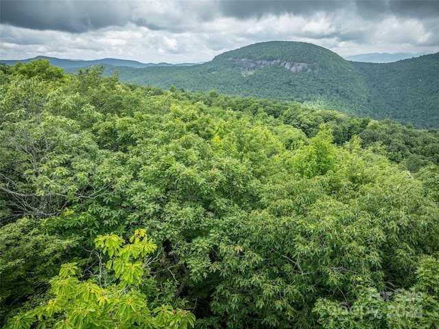 000 Panthertown Rd Unit 38R, Lake Toxaway, NC 28747