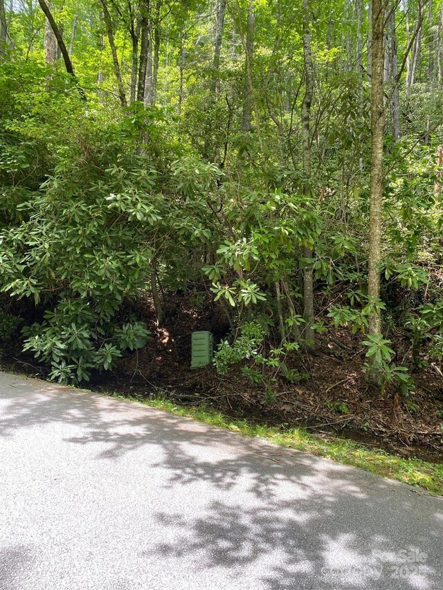 115 Hickory Dr, Sapphire, NC 28774