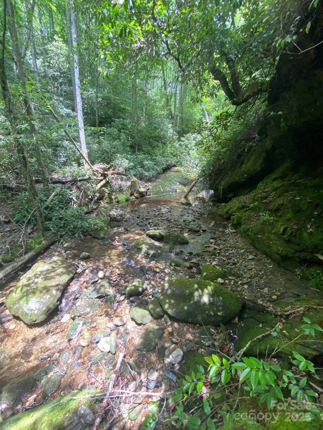 115 Hickory Dr, Sapphire, NC 28774