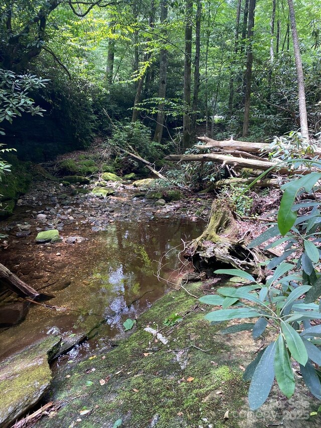 115 Hickory Dr, Sapphire, NC 28774