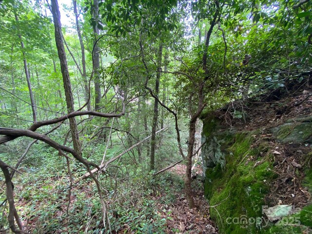 115 Hickory Dr, Sapphire, NC 28774
