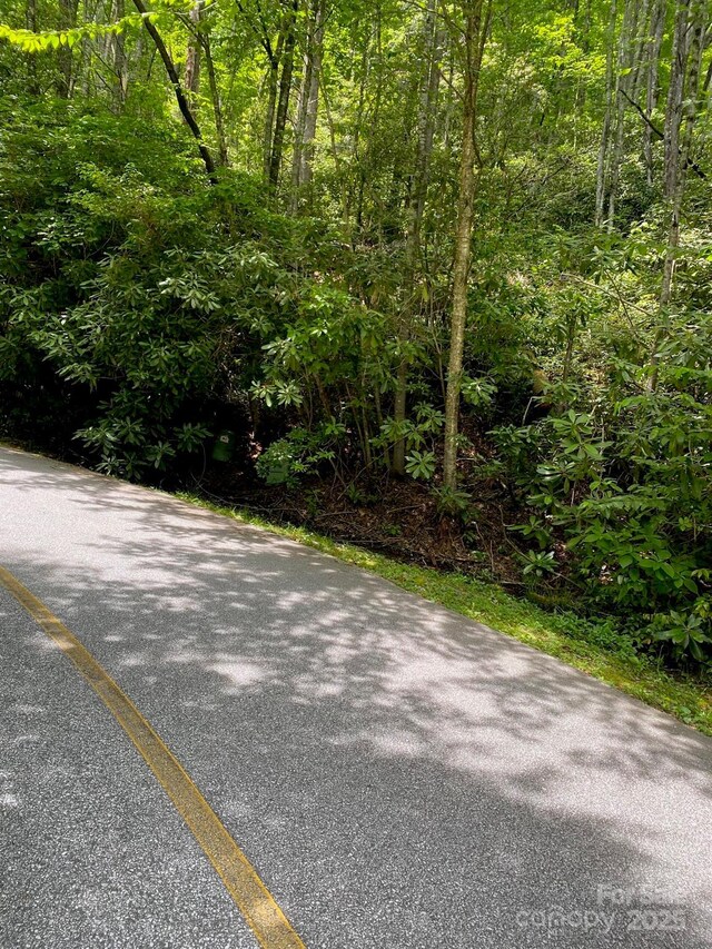 115 Hickory Dr, Sapphire, NC 28774