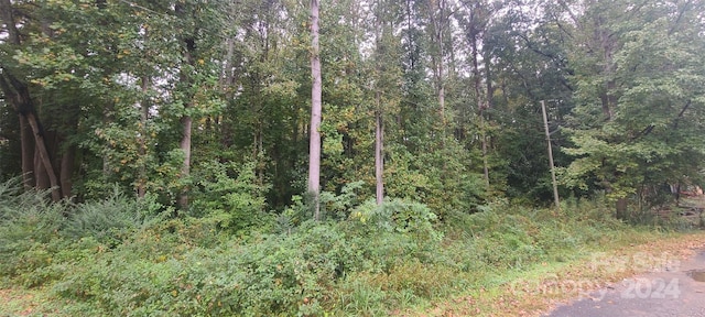 TBD Wildwood Ln, Troy NC, 27371 land for sale