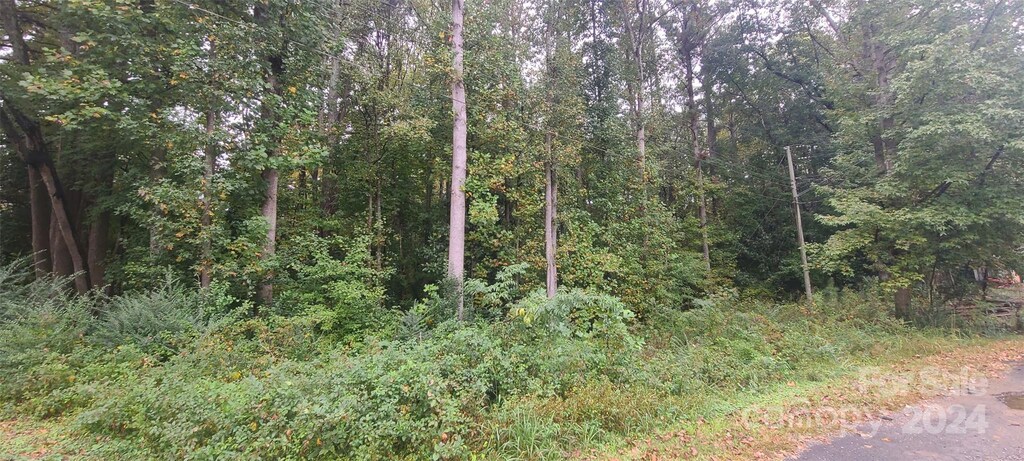 TBD Wildwood Ln, Troy, NC 27371