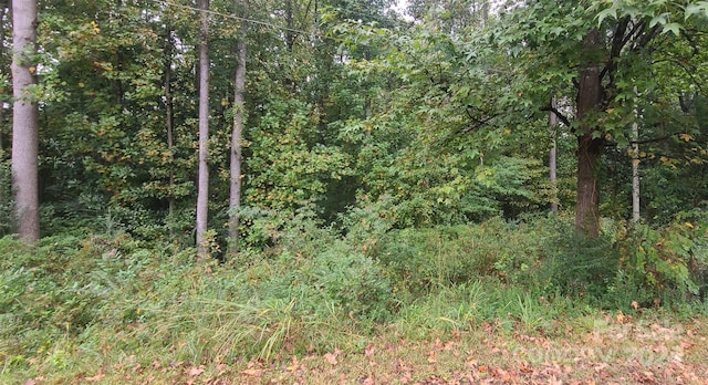 Listing photo 2 for TBD Wildwood Ln, Troy NC 27371