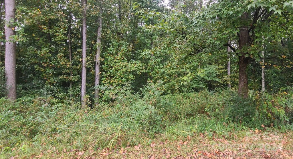 TBD Wildwood Ln, Troy, NC 27371