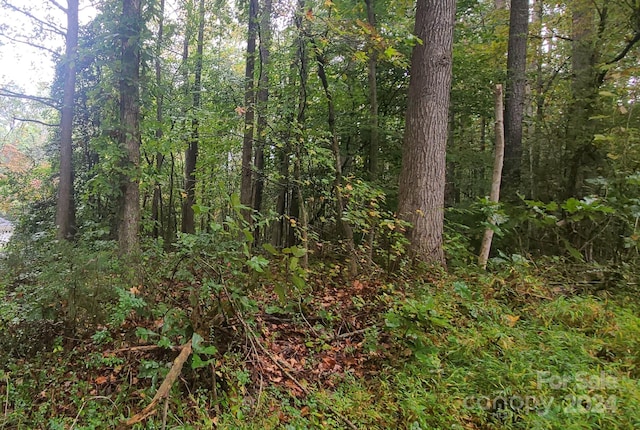 Listing photo 3 for TBD Wildwood Ln, Troy NC 27371