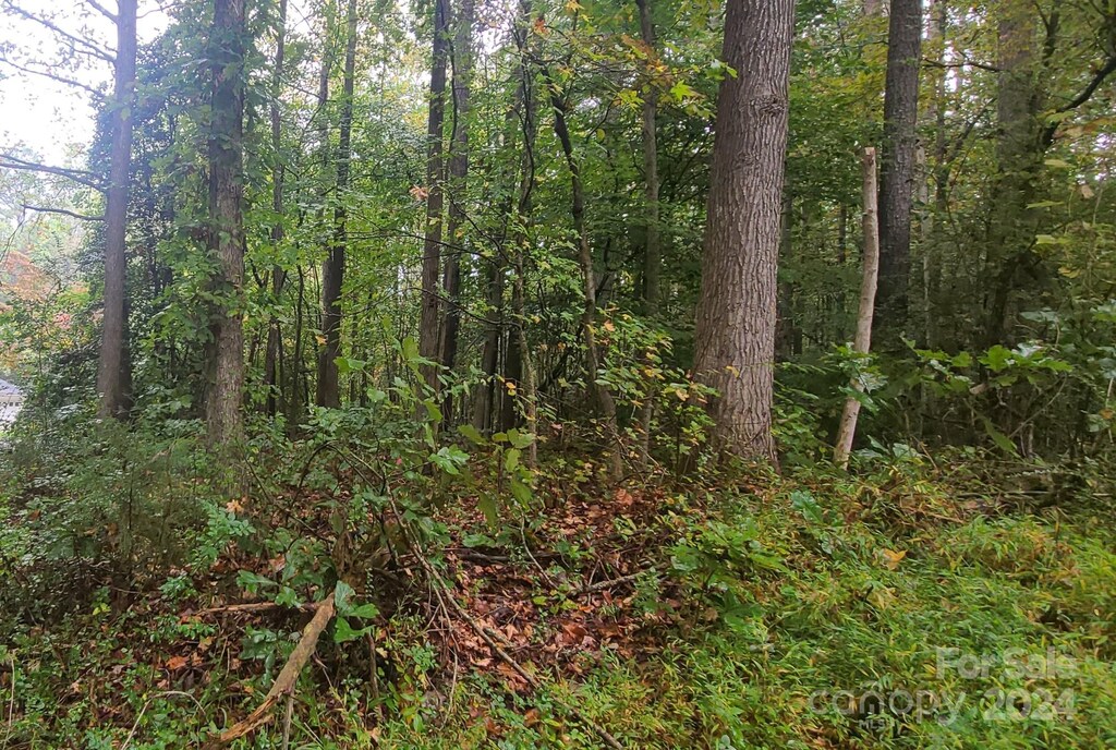 TBD Wildwood Ln, Troy, NC 27371