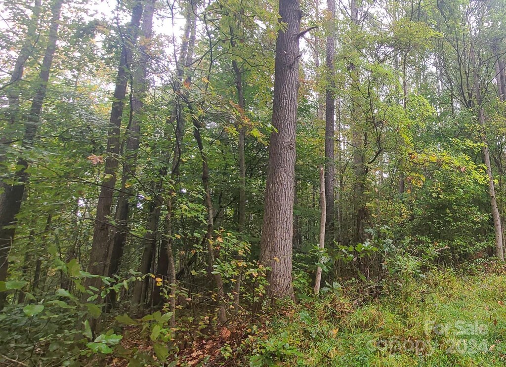 TBD Wildwood Ln, Troy, NC 27371