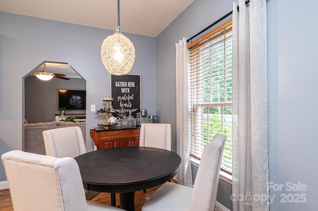 dining room featuring ceiling fan, a textured ceiling, and hardwood / wood-style floors