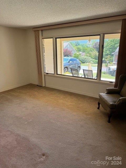 unfurnished room featuring light carpet and a textured ceiling