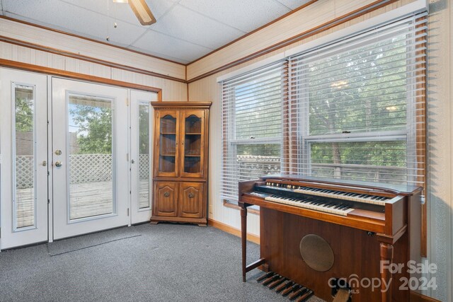 miscellaneous room with a paneled ceiling, a wealth of natural light, and ceiling fan