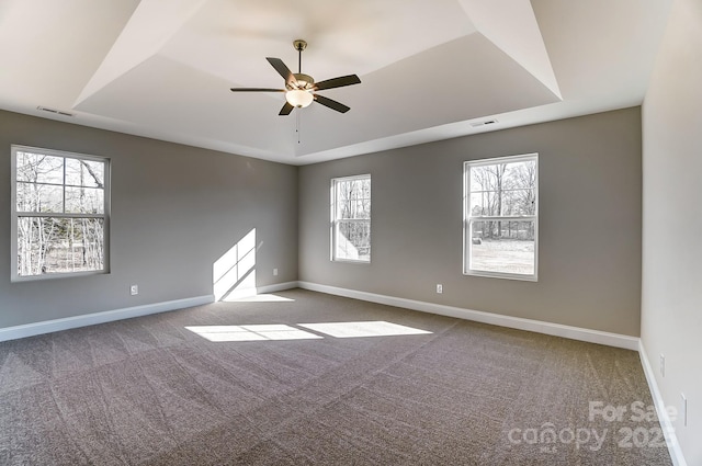 spare room featuring plenty of natural light, carpet flooring, and a raised ceiling