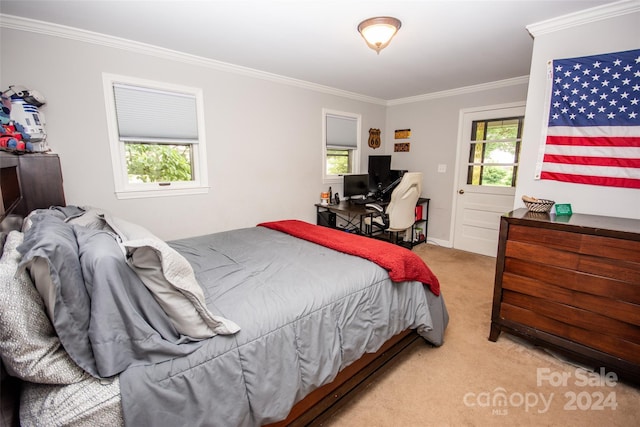 carpeted bedroom with multiple windows and ornamental molding