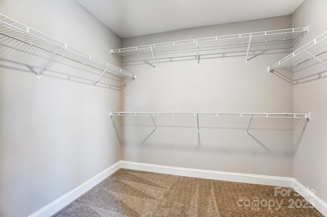 walk in closet with carpet