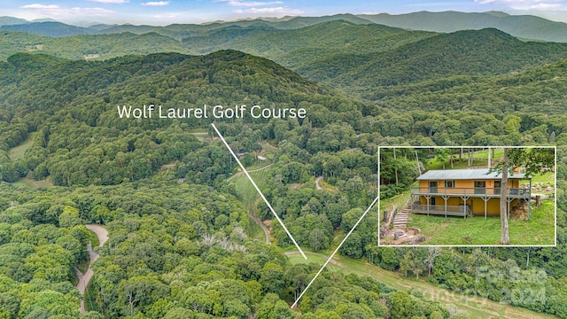 bird's eye view featuring a forest view and a mountain view