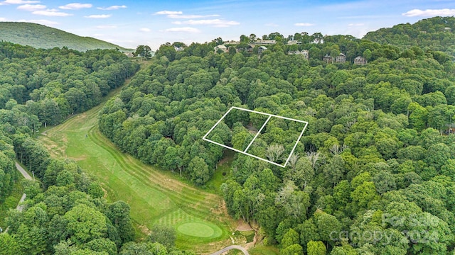 aerial view featuring a mountain view and a view of trees