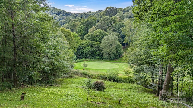 exterior space with a lawn and a view of trees