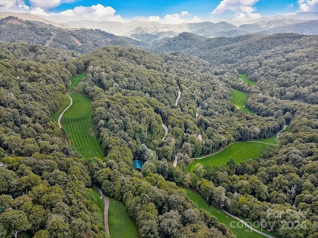 bird's eye view with a forest view and a mountain view