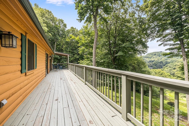 73 Oak Ridge Court 698 & 699, Mars Hill, NC 28754 - photo 25