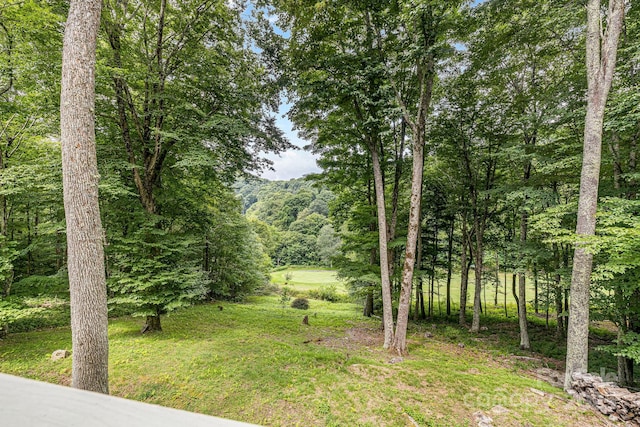 73 Oak Ridge Court 698 & 699, Mars Hill, NC 28754 - photo 28
