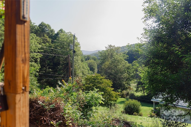 view of yard featuring a view of trees